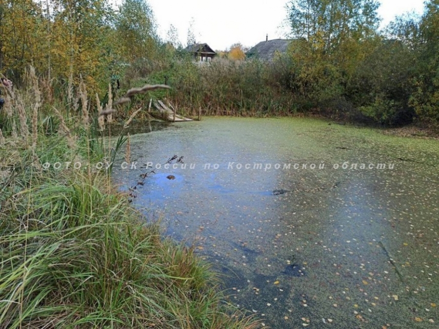 В Костромском районе в пруду утонул 40-летний мужчина