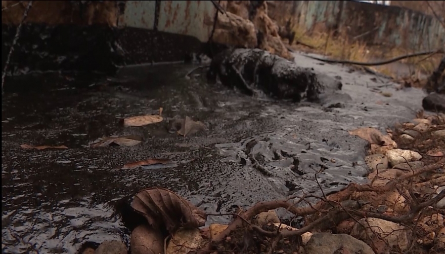 Разлив нефтепродуктов в Костромской области нанес серьезный урон окружающей среде