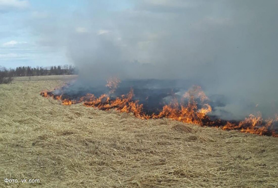 Костромичам грозят большие штрафы за огненную уборку территорий