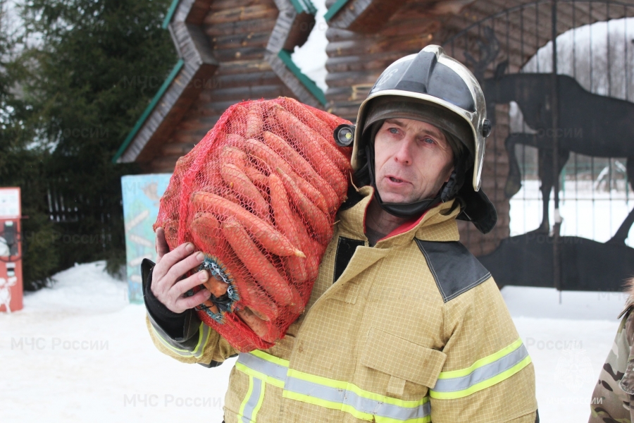 Костромские пожарные обеспечили лосей витаминами