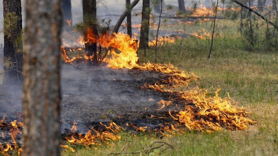 В Костромской области прогнозируют высокий класс пожарной опасности