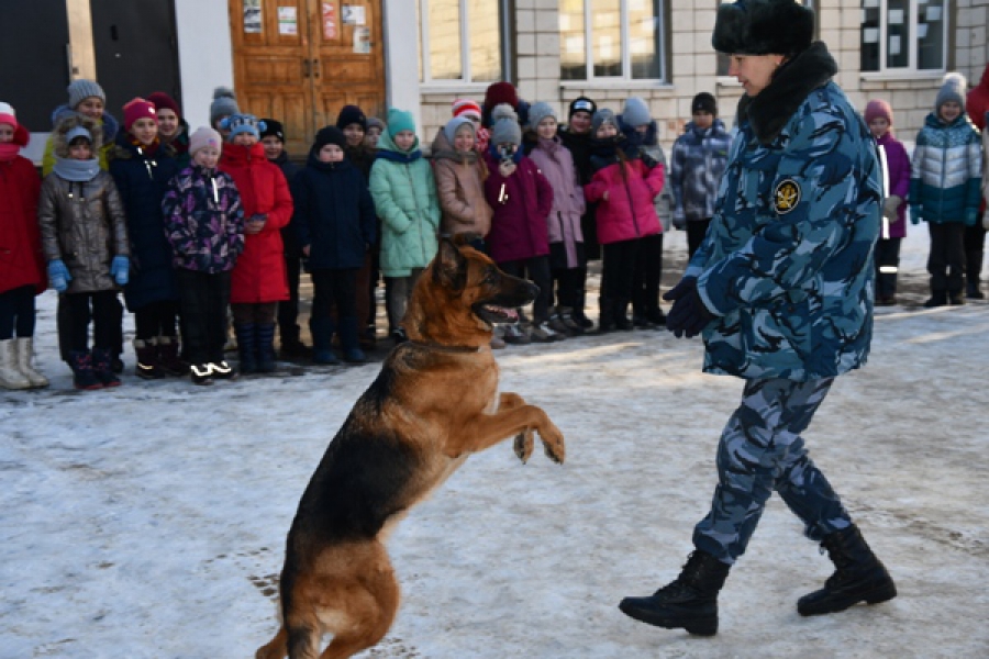 В Костроме собаки устроили фристайл для школьников (ФОТО)