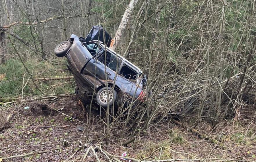 Роковое столкновение с деревом унесло жизнь костромского водителя