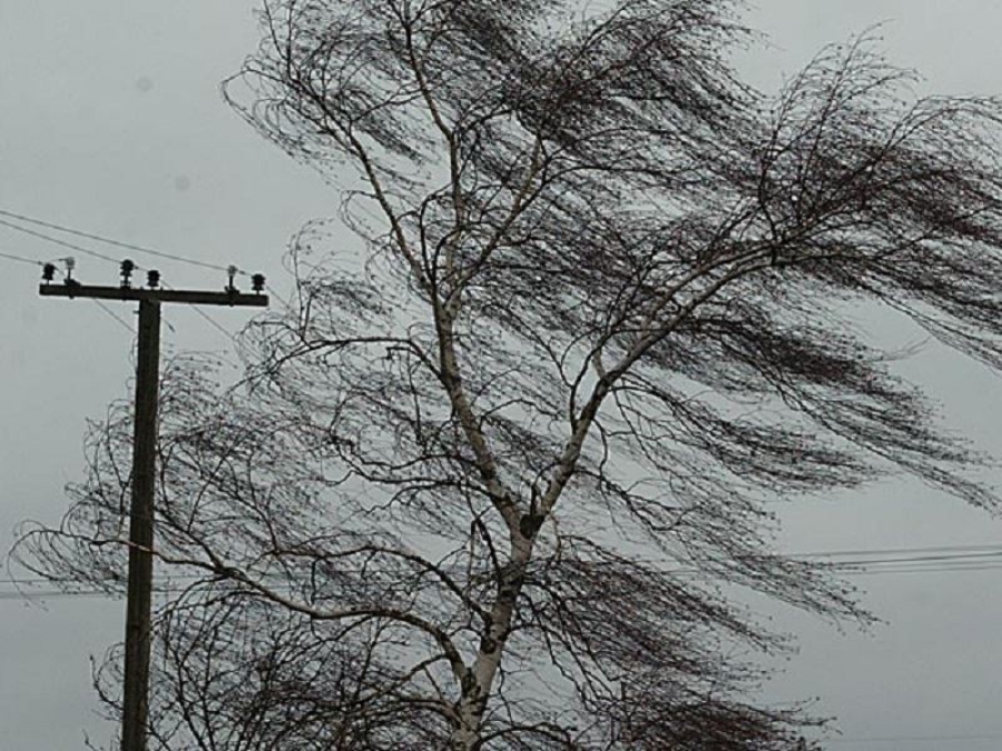 В Костроме ожидается способный привести к авариям ветер