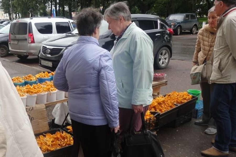 «Охота на ведьм»: в Костроме разгоняют бабушек с овощами