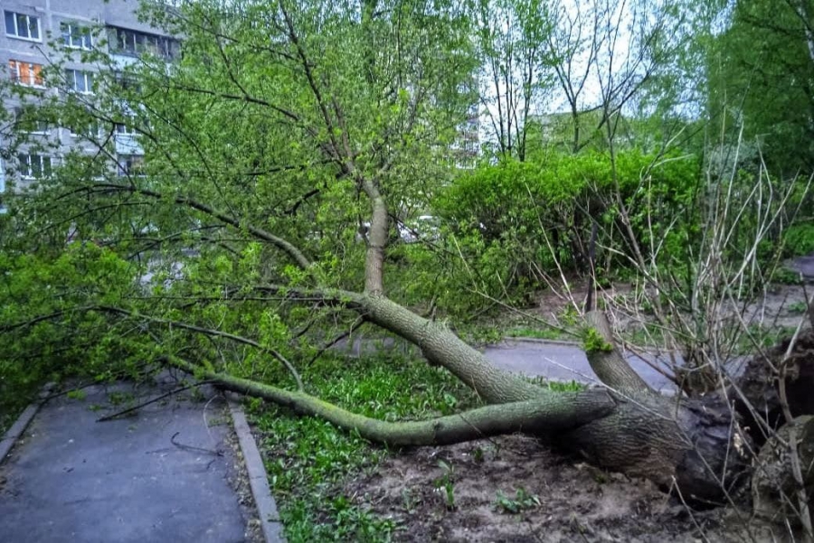 Ураганный ветер и гроза принесут новые разрушения в Костромскую область
