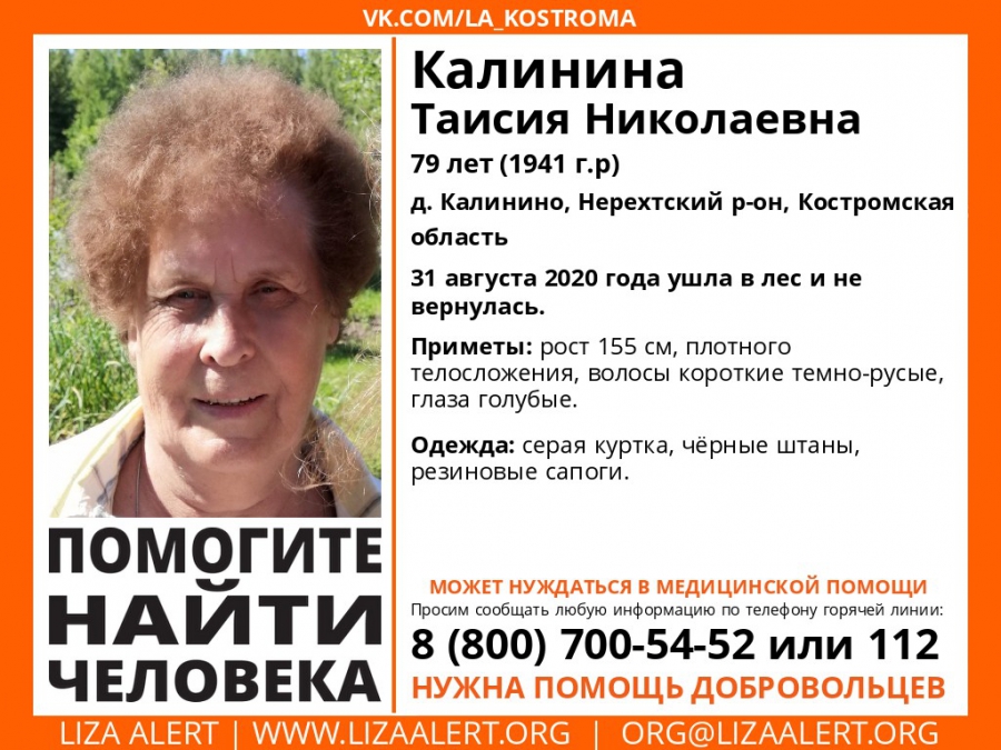 Пожилая жительница деревни Калинино пропала в нерехтском лесу