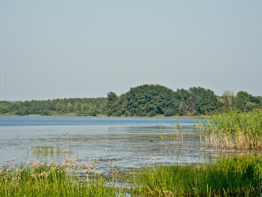 Озера в Костромской области очистит краснодарская компания