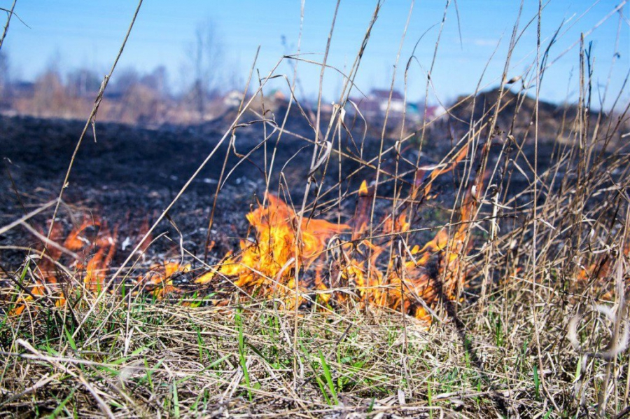 В Костромской области сохраняется  высокий класс пожарной опасности