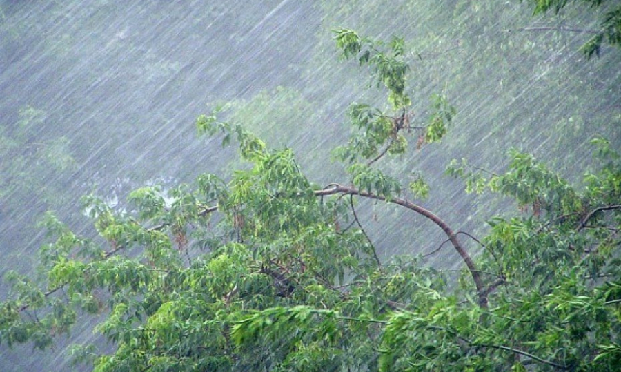 В Костромской области ожидается дождь и гроза