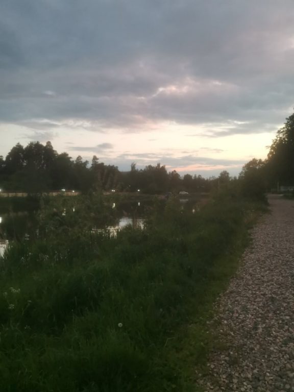 Костромичи жалуются на состояние прудов в Берендеевке (ФОТО)