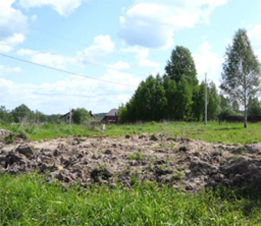 Ни себе, ни людям: в деревне под Костромой начали дорого распродавать полученную во временную аренду землю