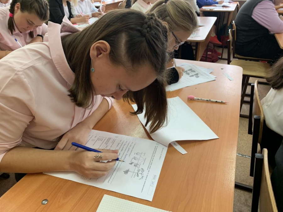 Костромские школьники ликуют: Всероссийские проверочные работы отменили из-за коронавируса