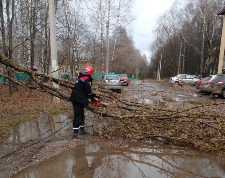 В Костроме продолжают устранять последствия ураганного ветра