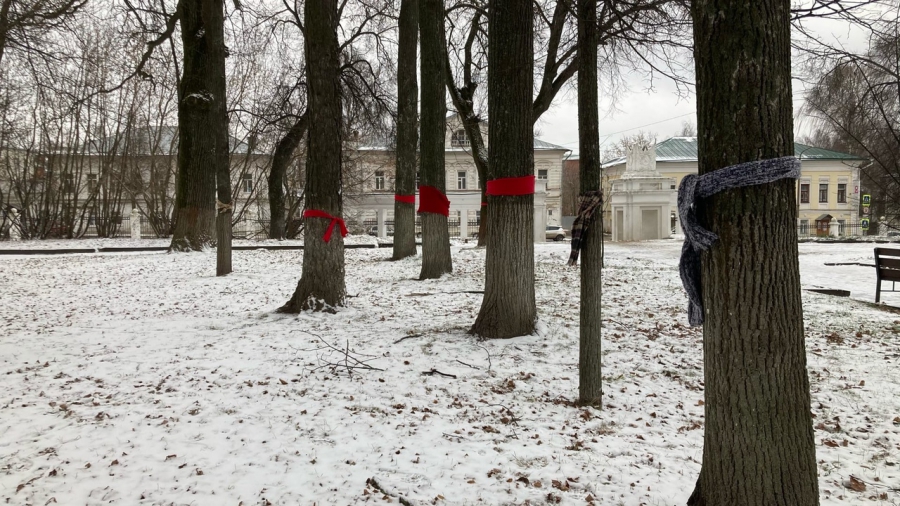 Костромичи согрели шарфами деревья в Центральном парке