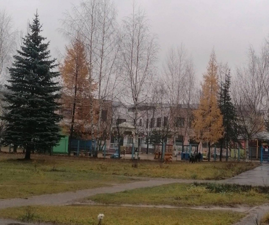 Жители отдаленного микрорайона Костромы боятся выходить на улицу