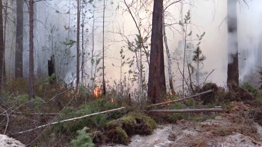 Масштабный пожар в костромских лесах удалось уменьшить