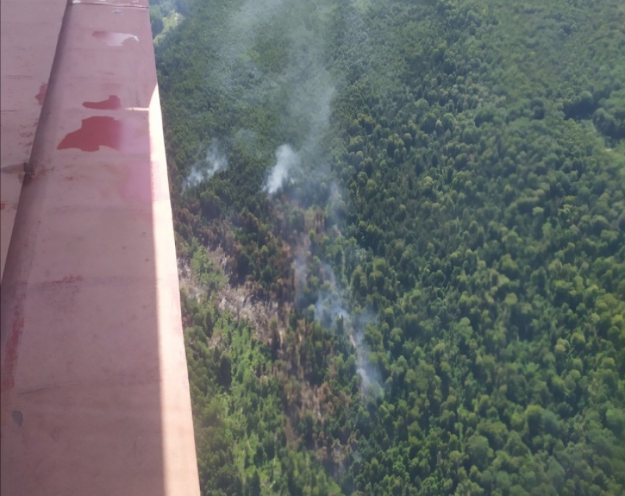 Костромские пожарные борются с пятью лесными пожарами
