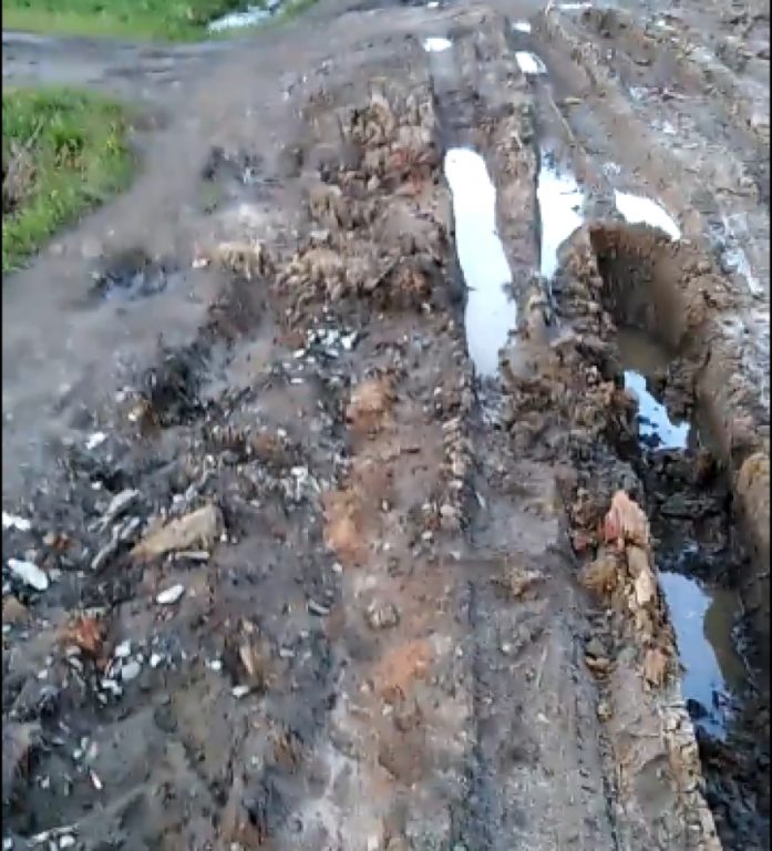 В Костромской области коммунальщики превратили дорогу в грядку