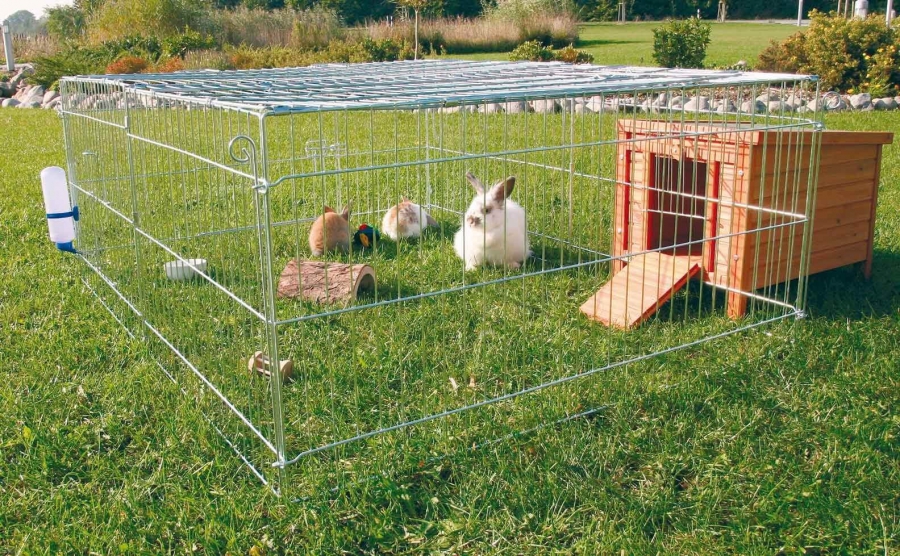 Костромские депутаты попросят коллег из Госдумы разрешить разводить кроликов и птиц