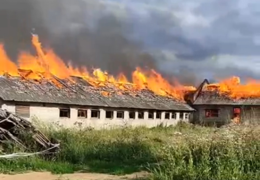 Пожар на старой ферме под Костромой тушили 12 часов