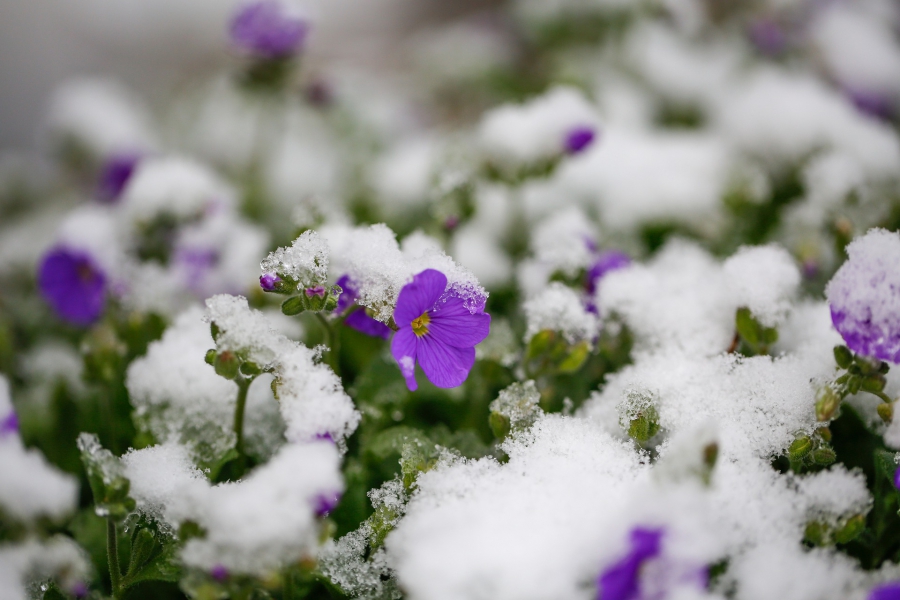 Прогноз погоды на неделю: в Костроме ожидается значительное похолодание и снег