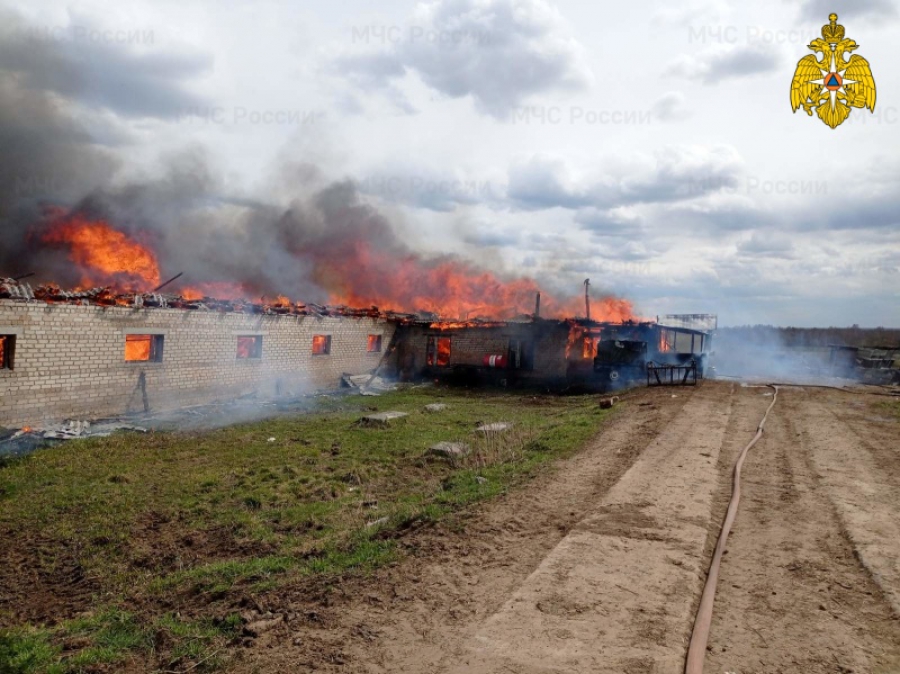 Во время пожара на ферме в Костромской области погибло 15 голов скота