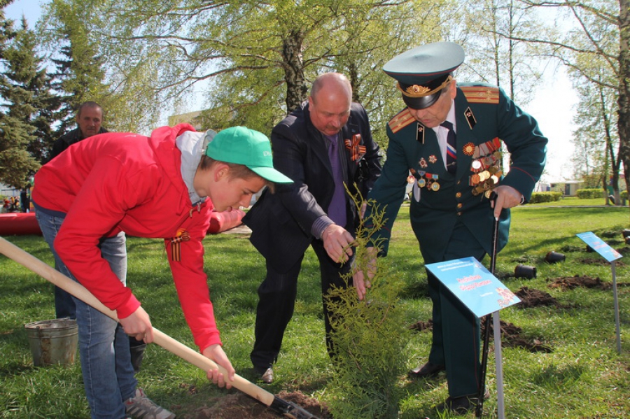 Костромичам предлагают почтить память ветеранов посадкой деревьев