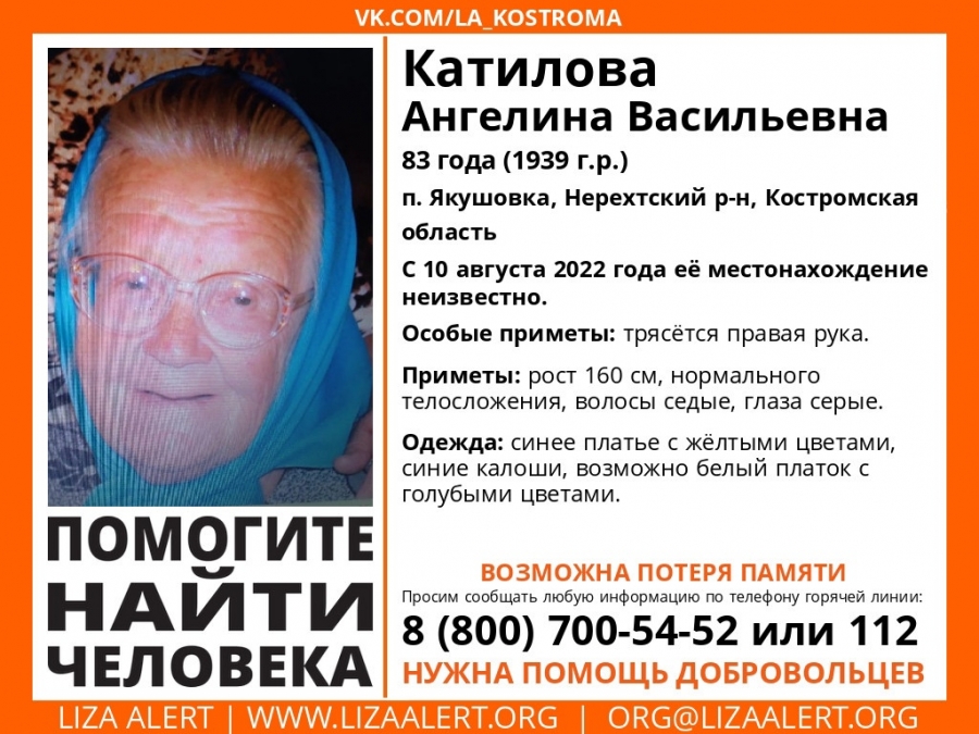 Без вести пропавшую пенсионерку с провалами в памяти разыскивают под Костромой