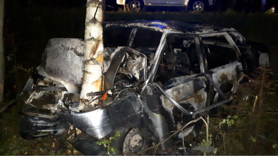 В Костромской области автомобиль вылетел в кювет и врезался в дерево