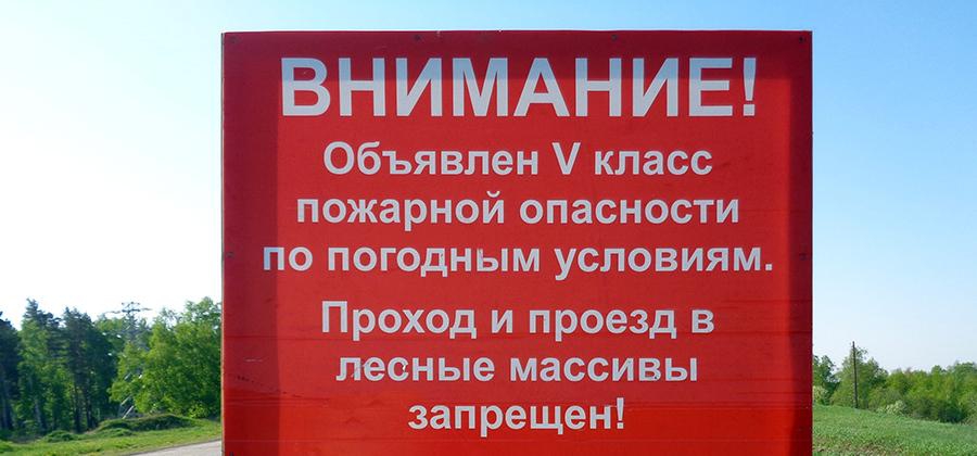 Костромичам запретили посещать леса Пыщугского района