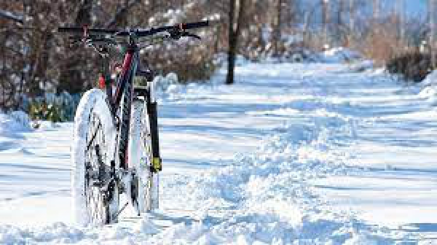 Рановато начали: в Костромской области украли первый в этом году велосипед