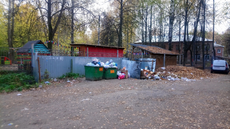 Жители Черноречья уже больше месяца страдают от недостатка мусорных контейнеров