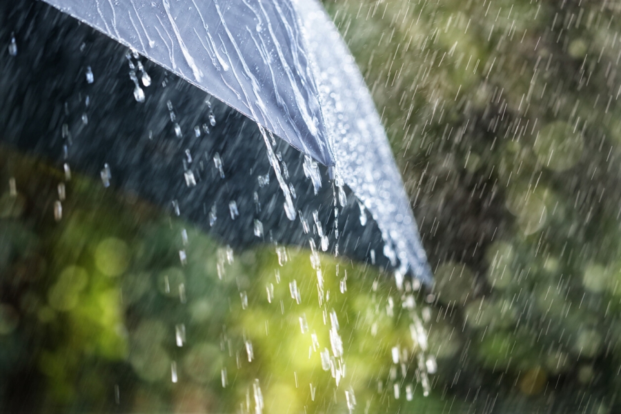 Прогноз погоды на неделю: в Кострому надолго пришли дожди