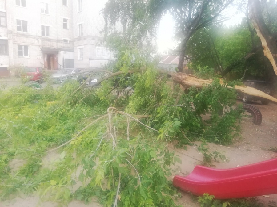В Костроме дерево упало прямо на детскую песочницу