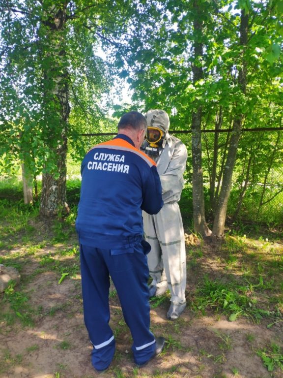 Костромские спасатели избавили детский сад от шершней