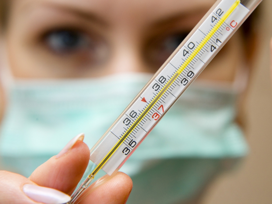 В Костромской области не нашли болеющих гриппом