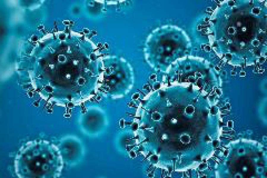 В Костромской области стремительно снижается заболеваемость коронавирусом