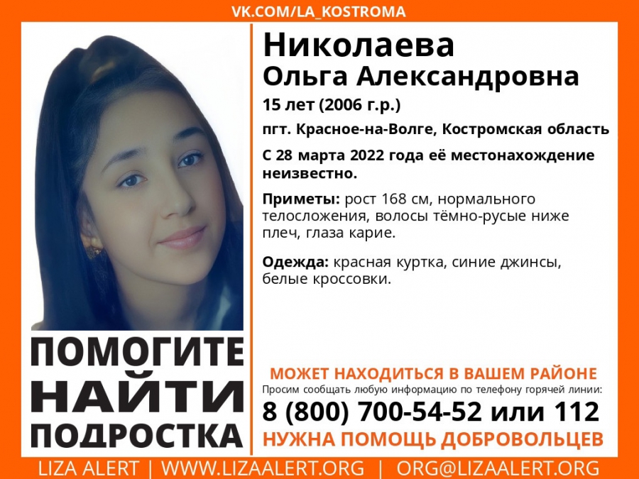 В Костромской области начались экстренные поиски 15-летней девочки