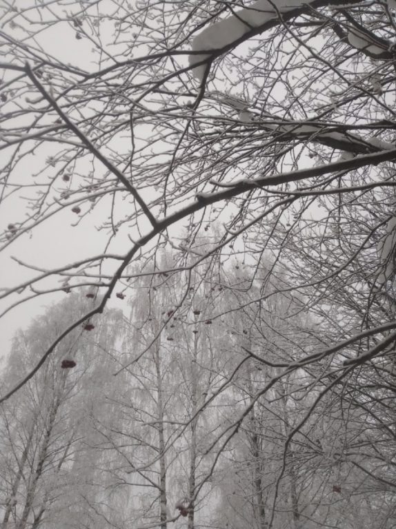 По прогнозам синоптиков на Кострому надвигается мощный снегопад