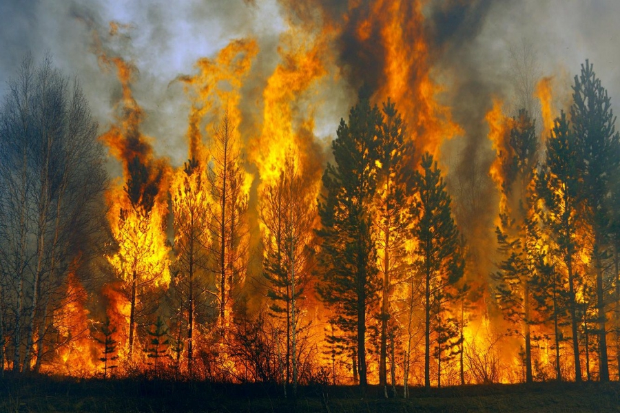 Лесные пожары обходят Кострому стороной