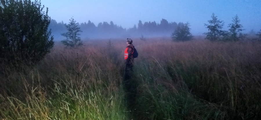 «За грибами больше не пойдем» — волонтеры костромского отряда «Лиза Алерт» рассказали историю одного поиска в лесу