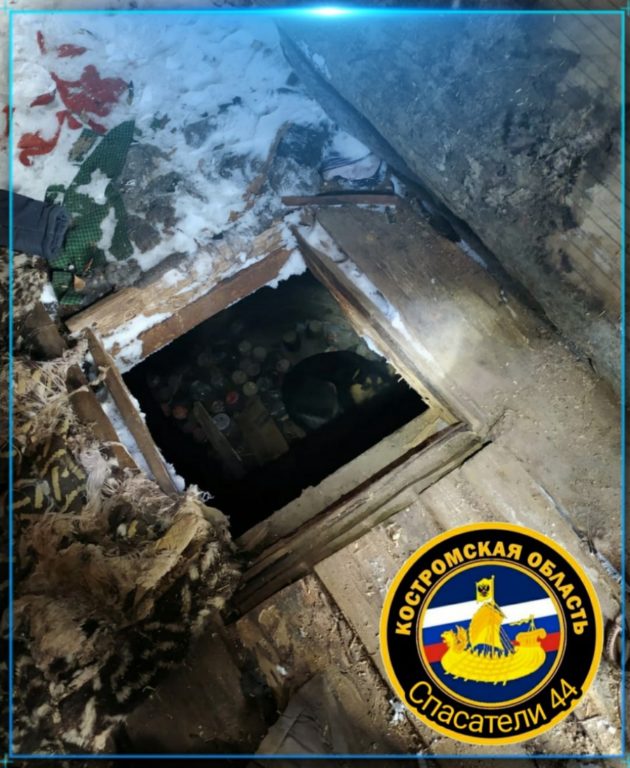 Костромские спасатели спустились в подземелье за провалившимся псом
