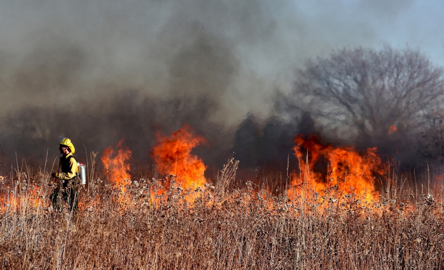 В Костромской области начался пожароопасный сезон: что это значит?