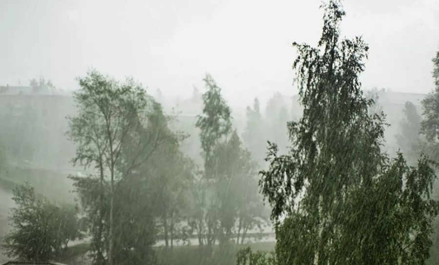 В Костромской области ожидается ливень, гроза и сильный ветер