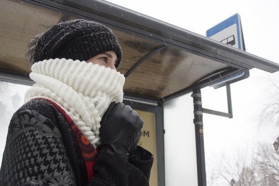 Время одеваться теплее: первая неделя ноября в Костроме будет холодной