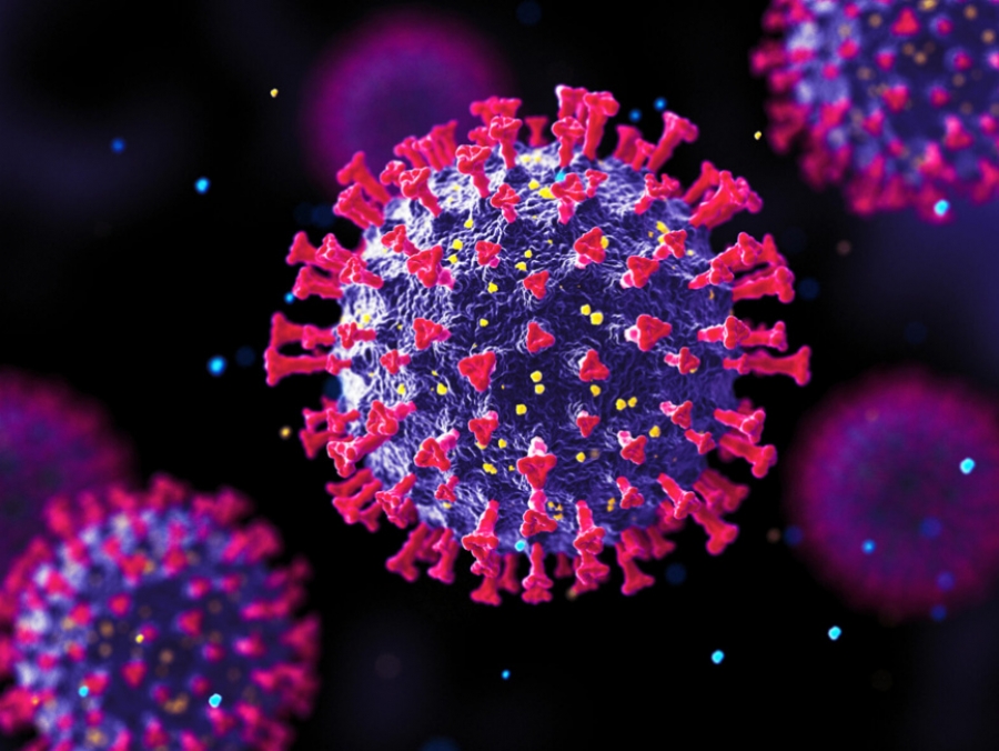 Костромичи продолжают сотнями заражаться коронавирусом
