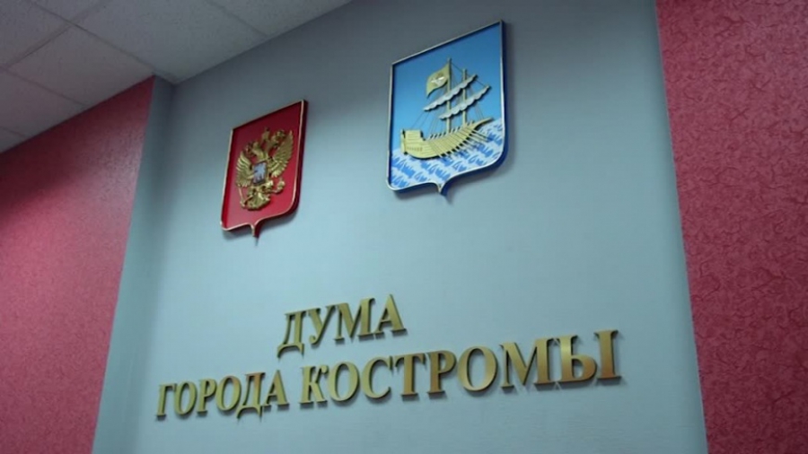 Депутаты Думы Костромы вновь раскритиковали дирекцию парков