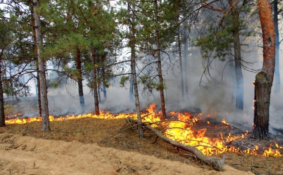 В Костромской области продлён особый противопожарный режим
