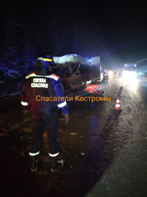Три человека погибли в страшном ДТП с лосем на трассе Кострома-Иваново